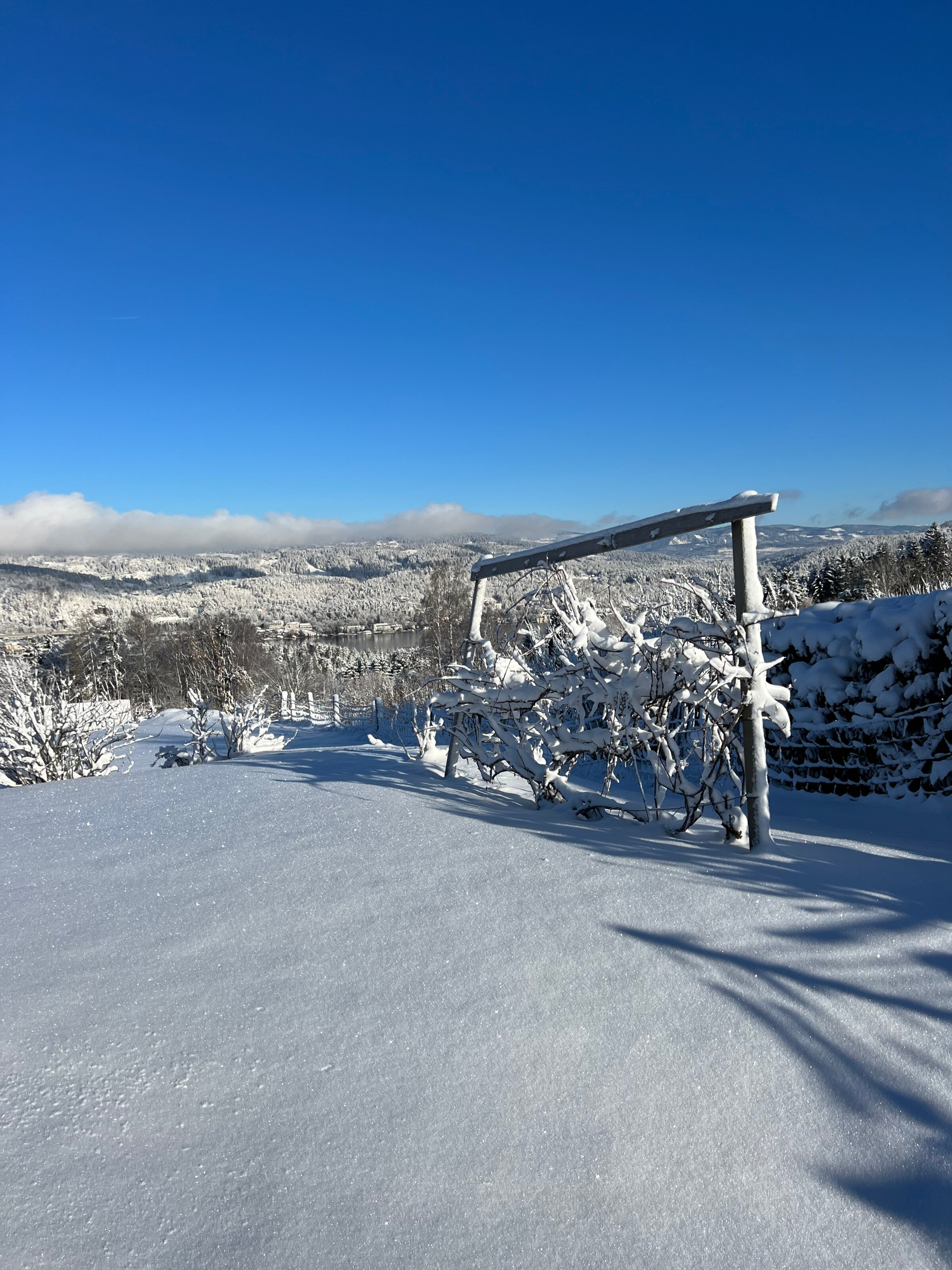Winter view with snow