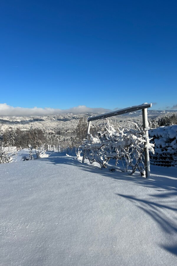Winter view with snow