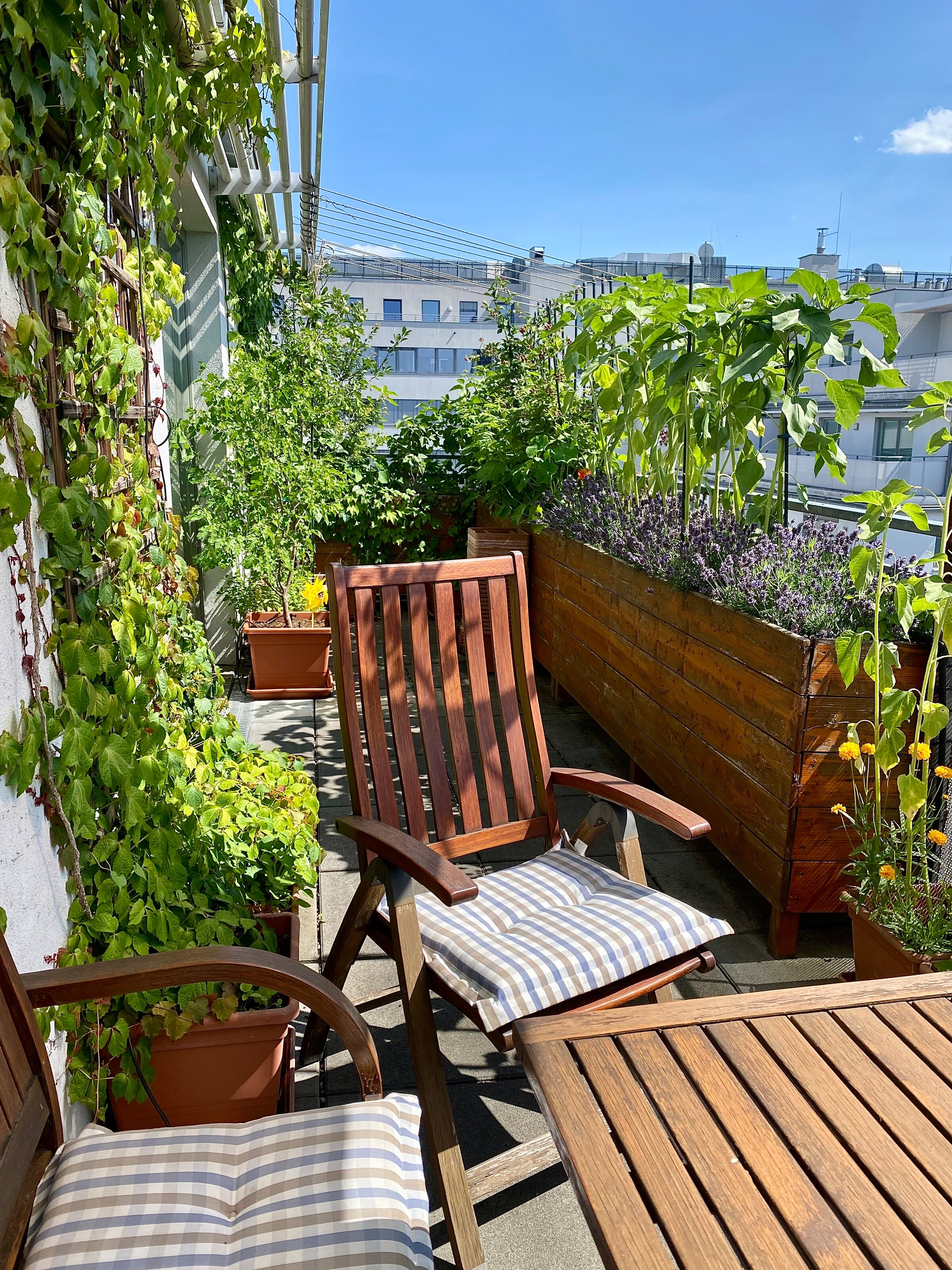 Die Terrasse ist begrünt und mit einer Bewässerungsanlage ausgestattet. Sitzmöbel laden zum Verweilen ein. | © hannabd
