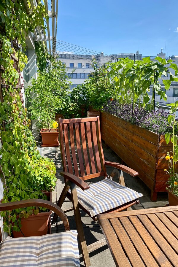 The terrace is landscaped and equipped with an irrigation system. Seating invites you to linger. | © hannabd