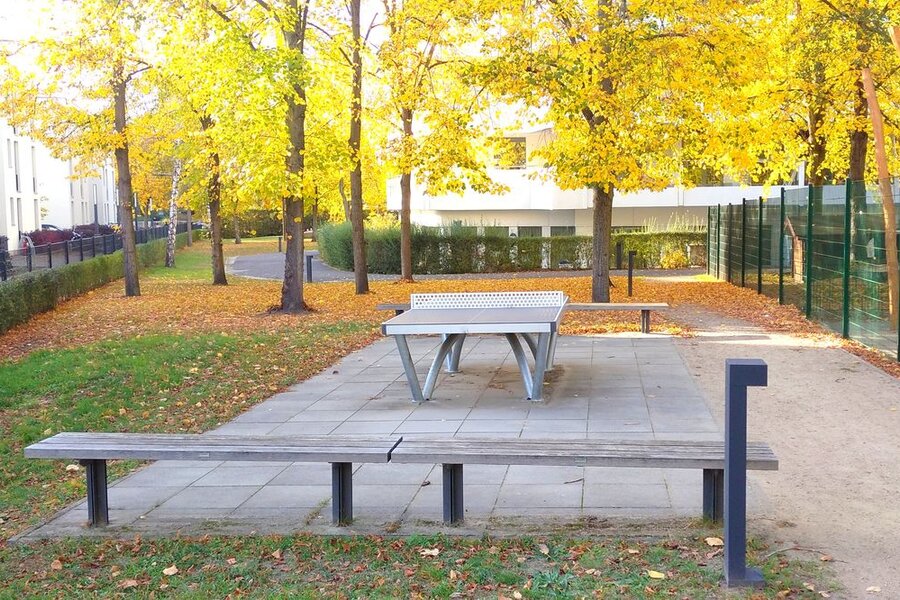 Table Tennis