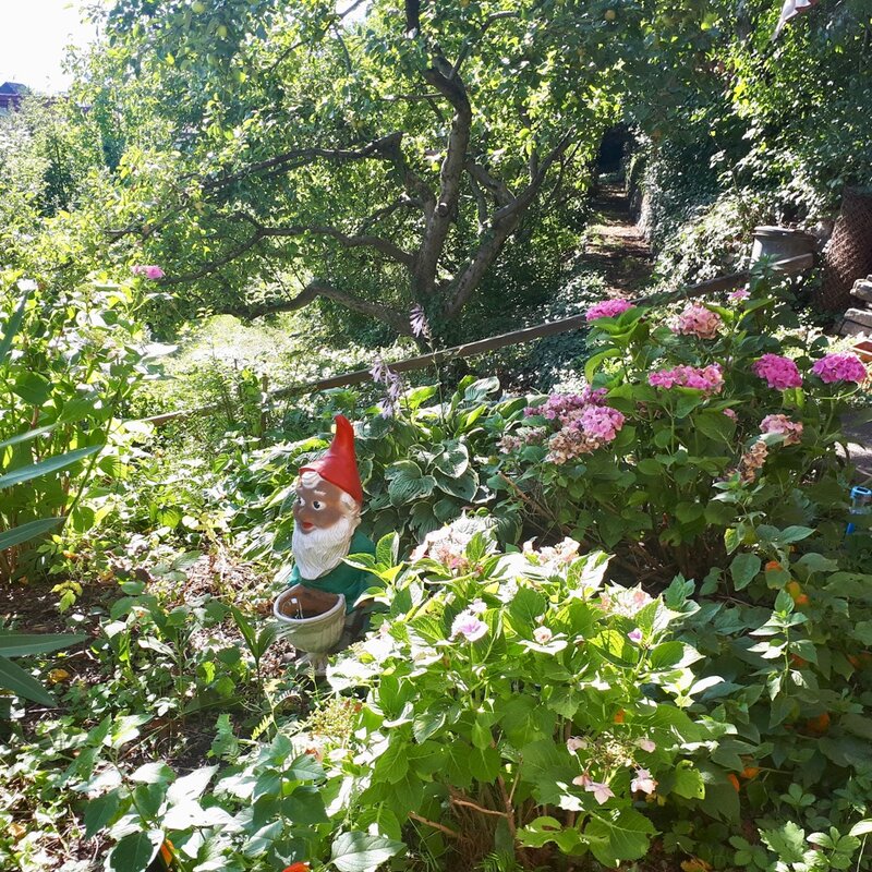 Summertime im Garten