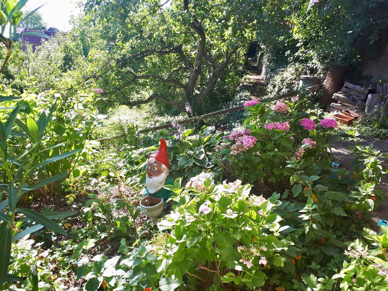 Summertime im Garten