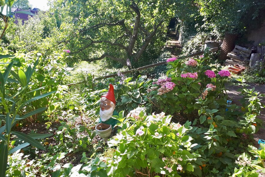 Summertime im Garten