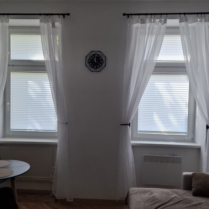 window with pleated binds