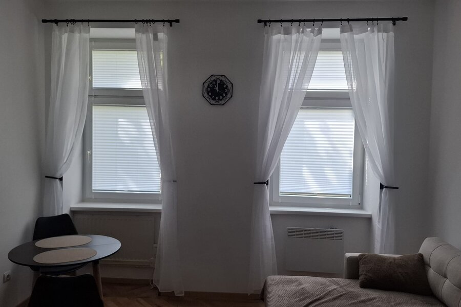 window with pleated binds
