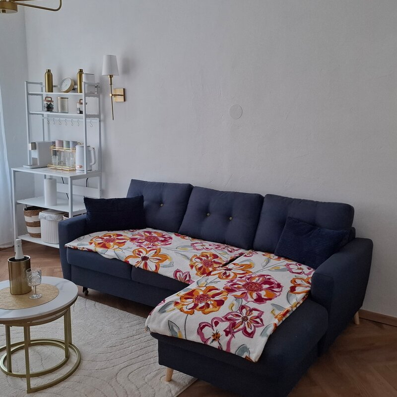 mit Infrrotheizpanel