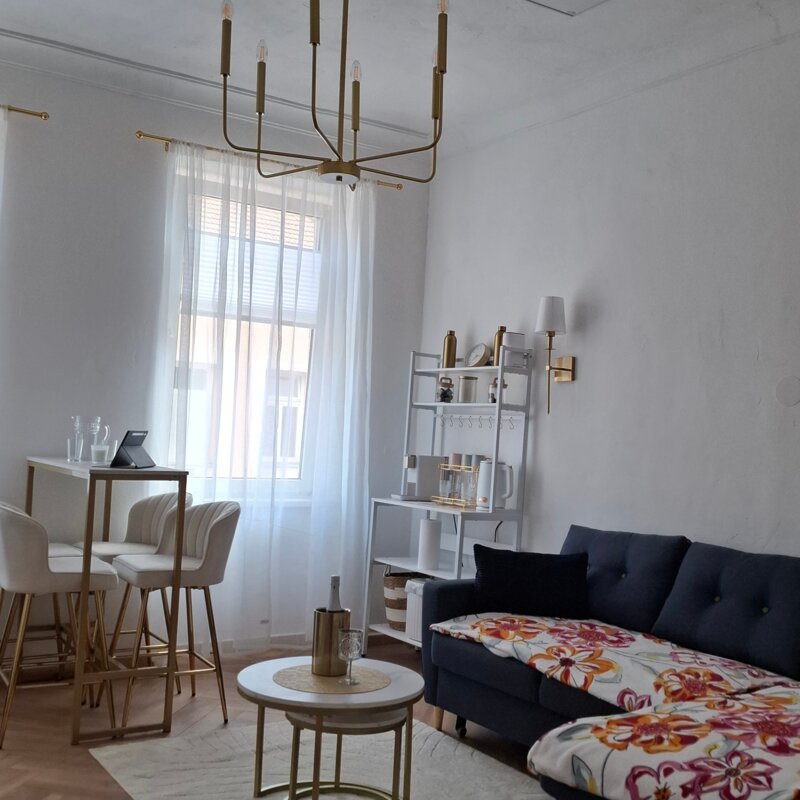 mit Infrrotheizpanel