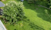 Blick in den Garten