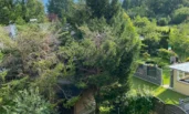 Blick in den Garten