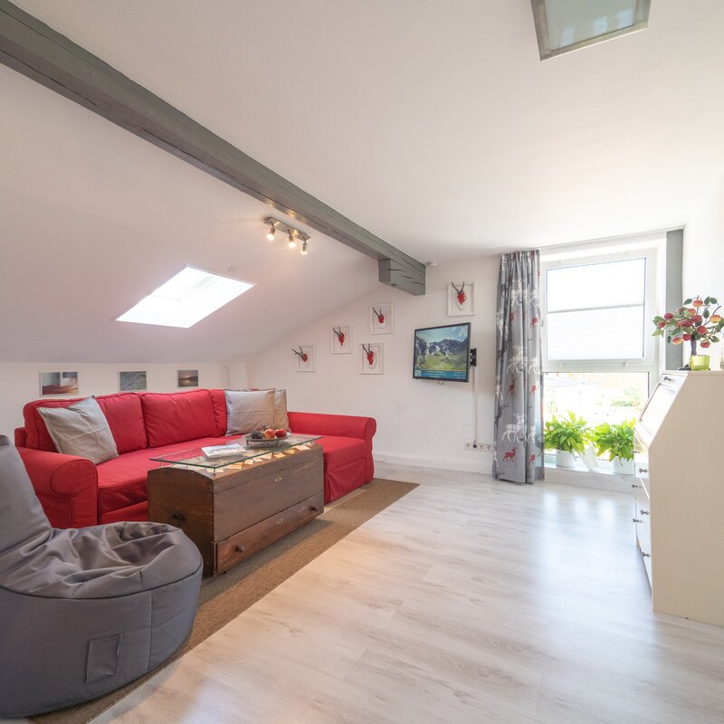 Bright living room with sloped ceiling & skylight – 2-room apt for short-term rental & temporary housing 1–6 months, Seekirchen
