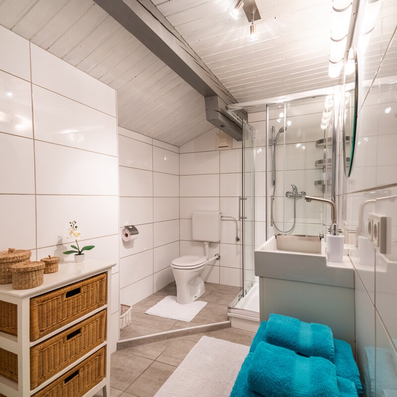 Badezimmer mit Dusche und WC