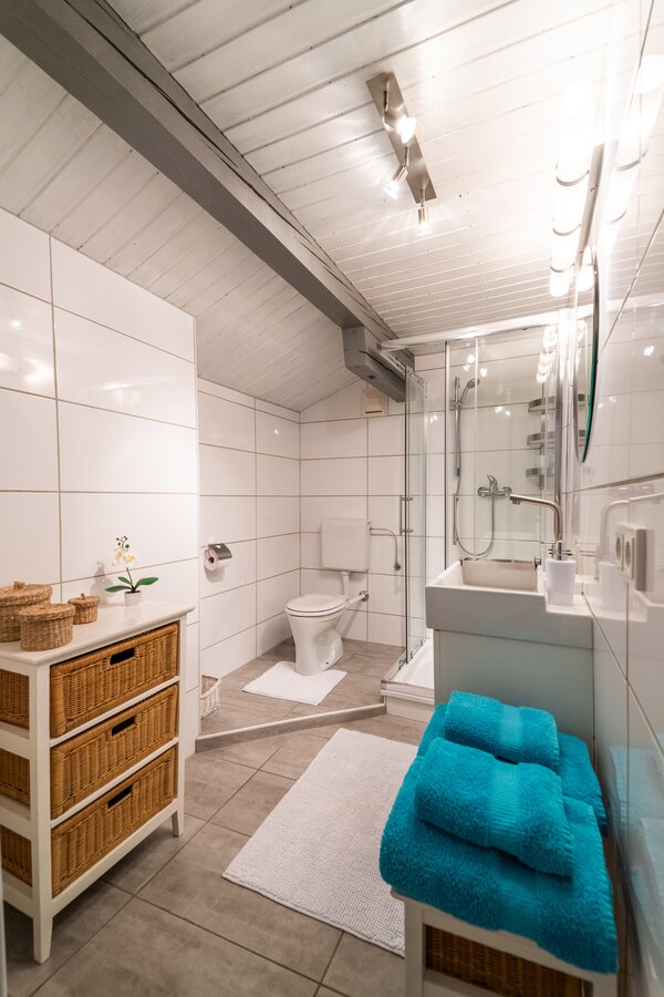 Badezimmer mit Dusche und WC