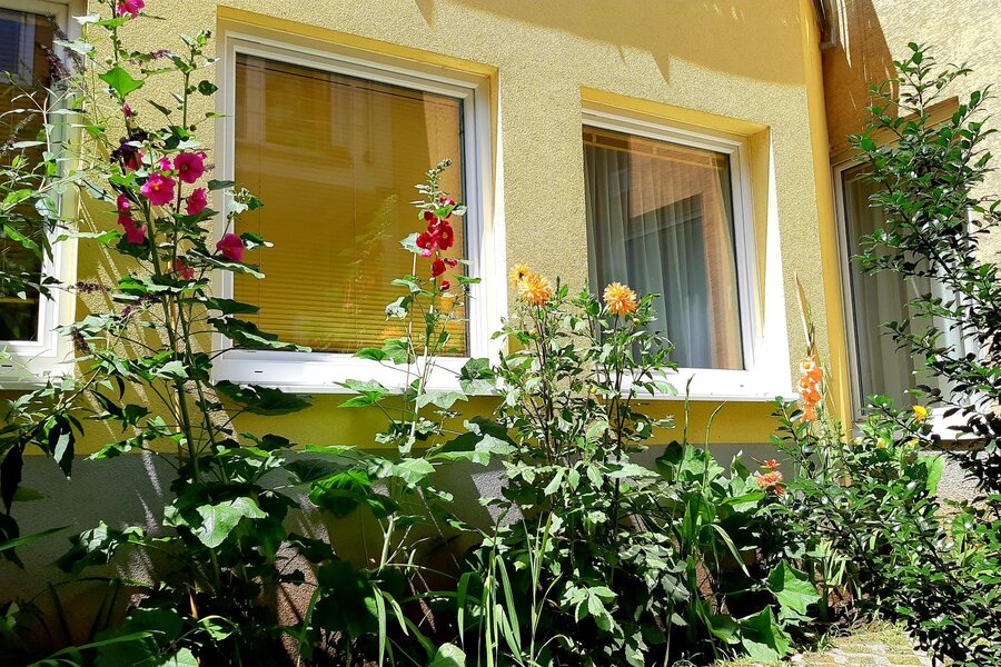 Green patio
