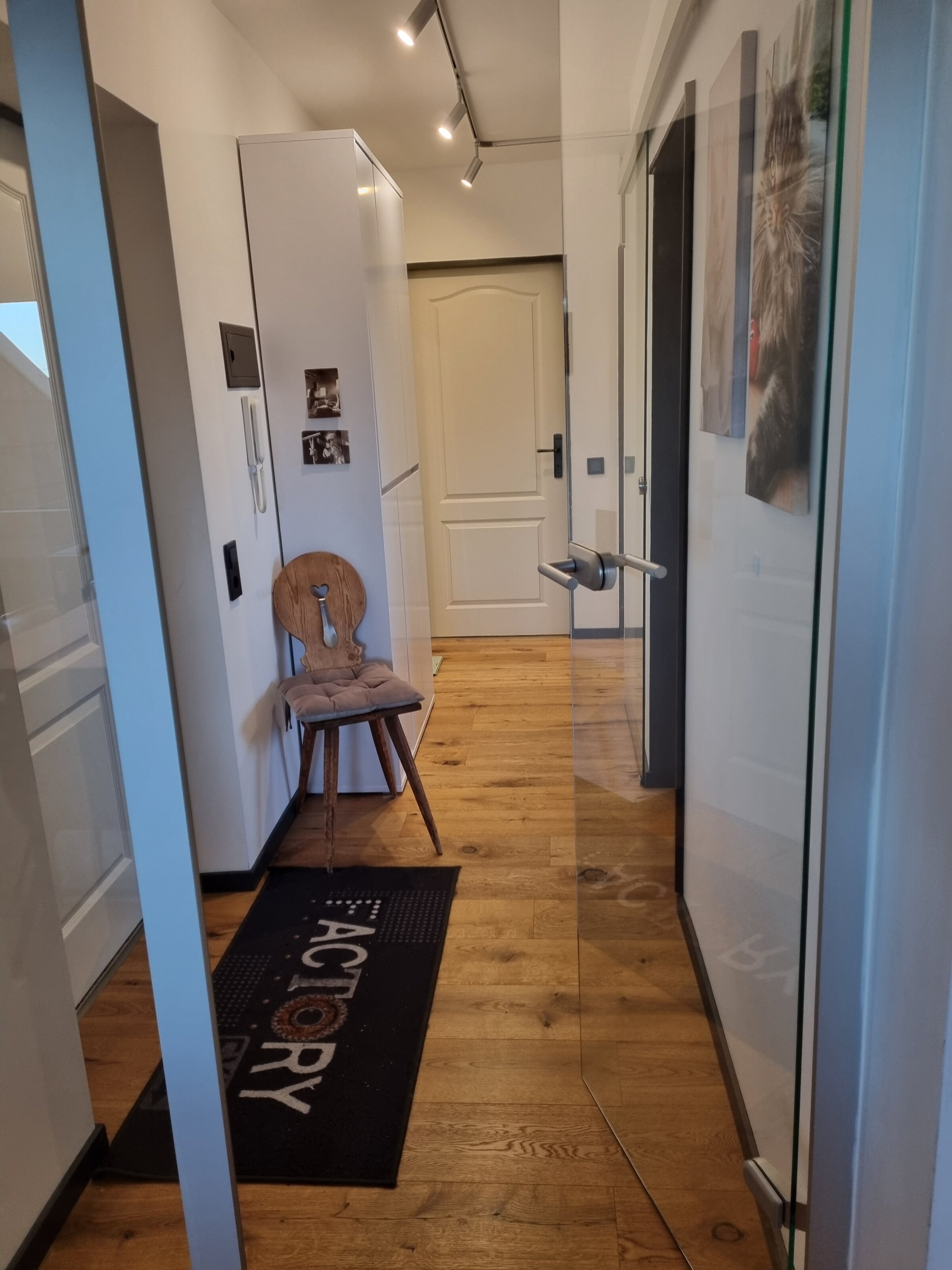 Corridor with view through the glass door into the living room