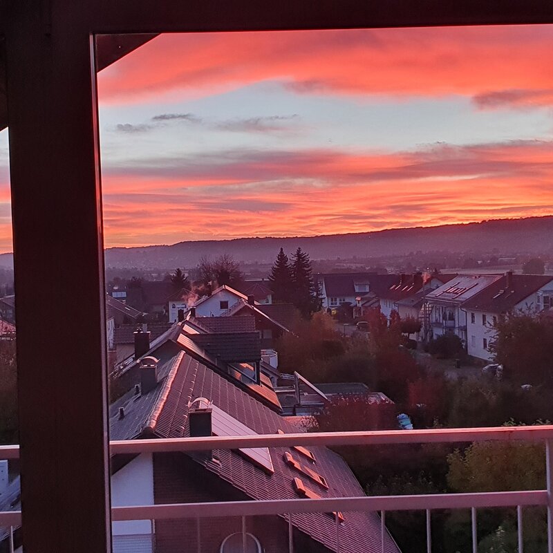 View from the bedroom