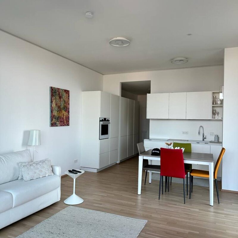 Kitchen-living room with pull-out sofa bed