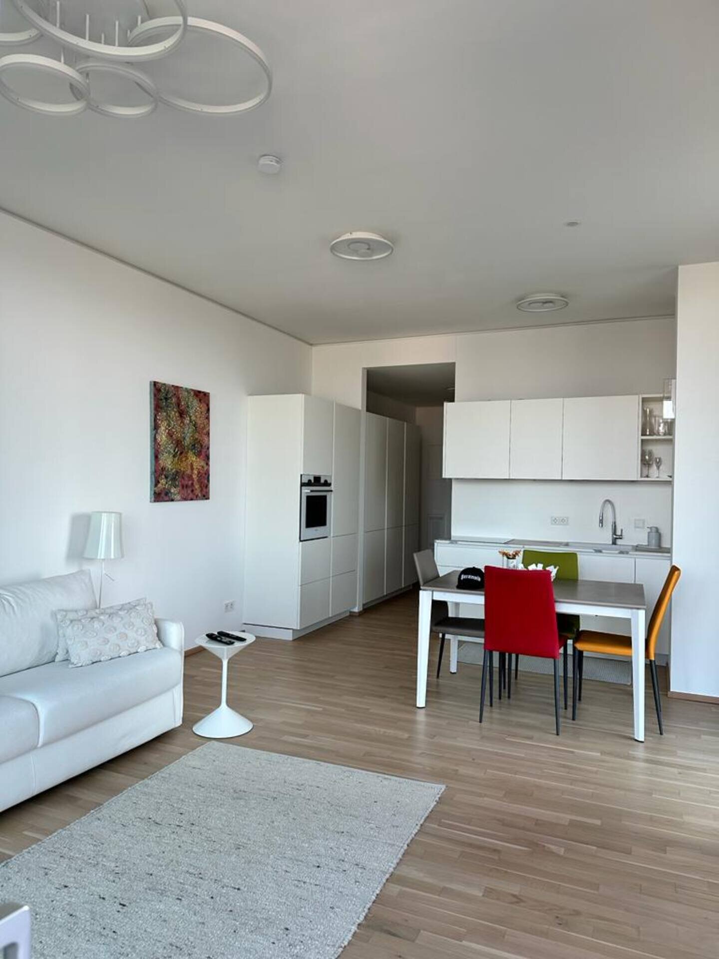 Kitchen-living room with pull-out sofa bed