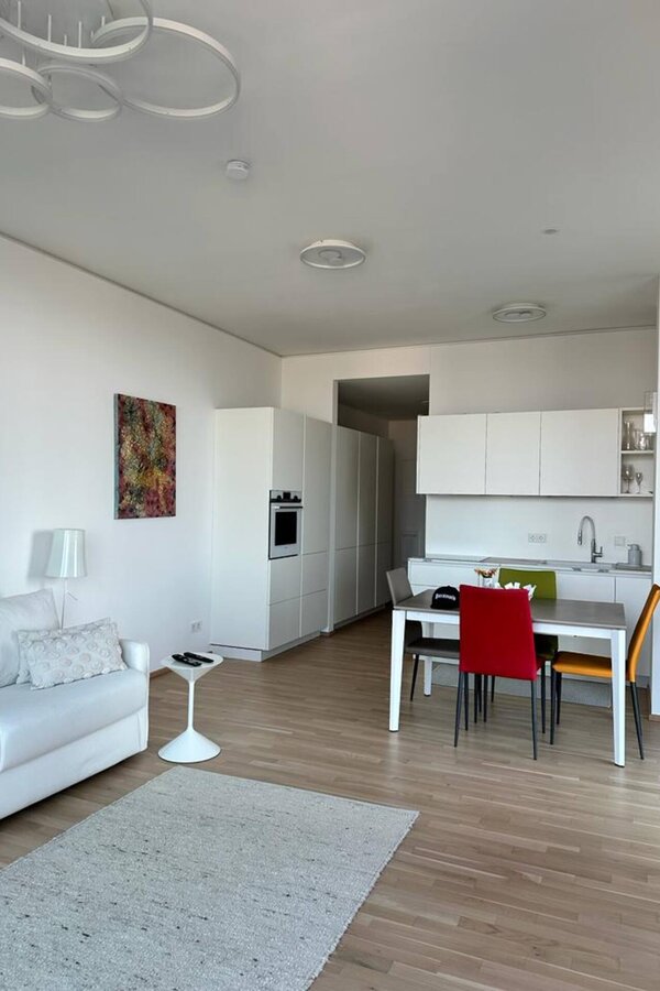 Kitchen-living room with pull-out sofa bed
