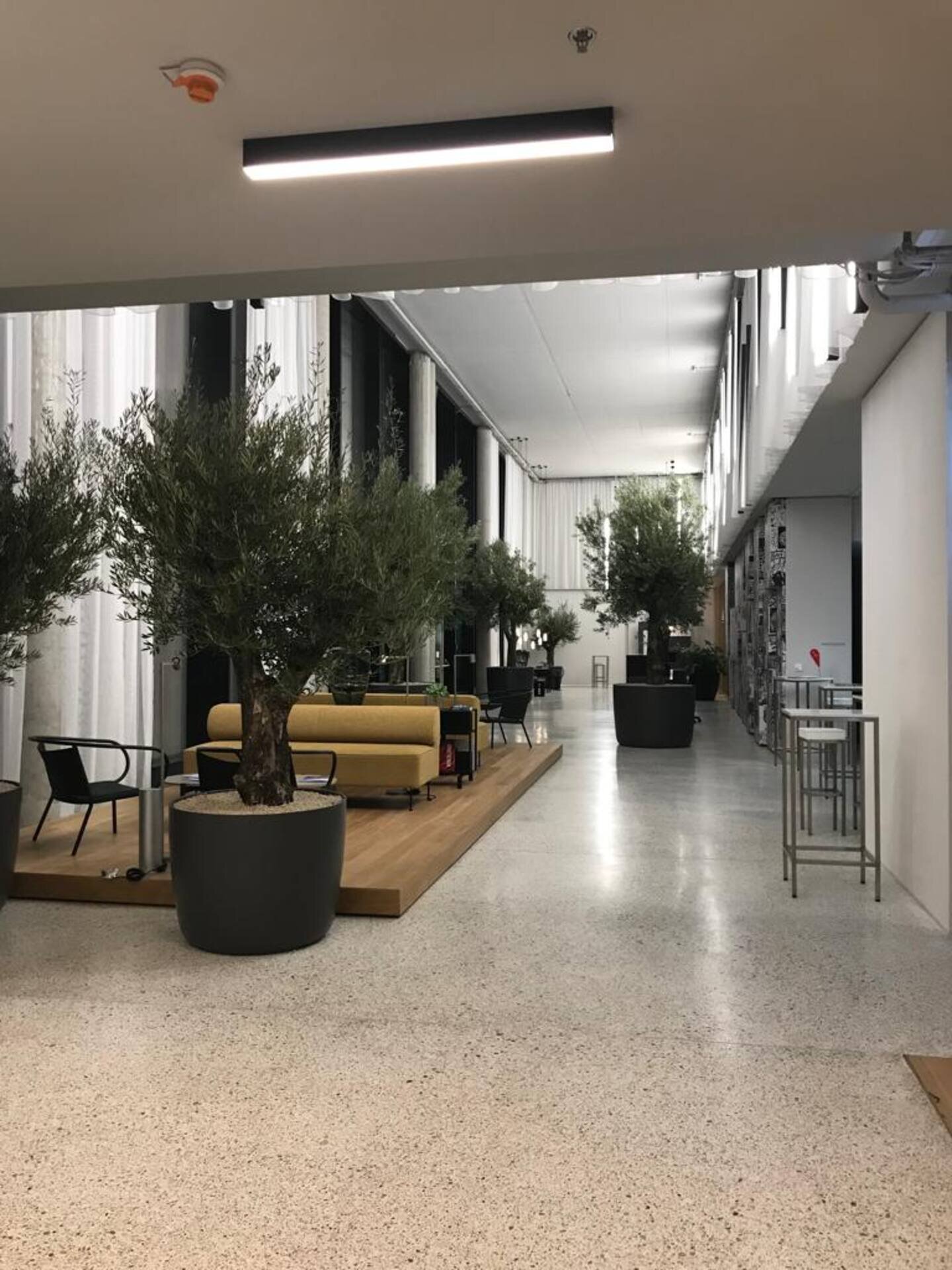 Reception area