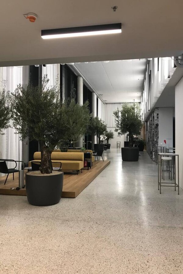 Reception area