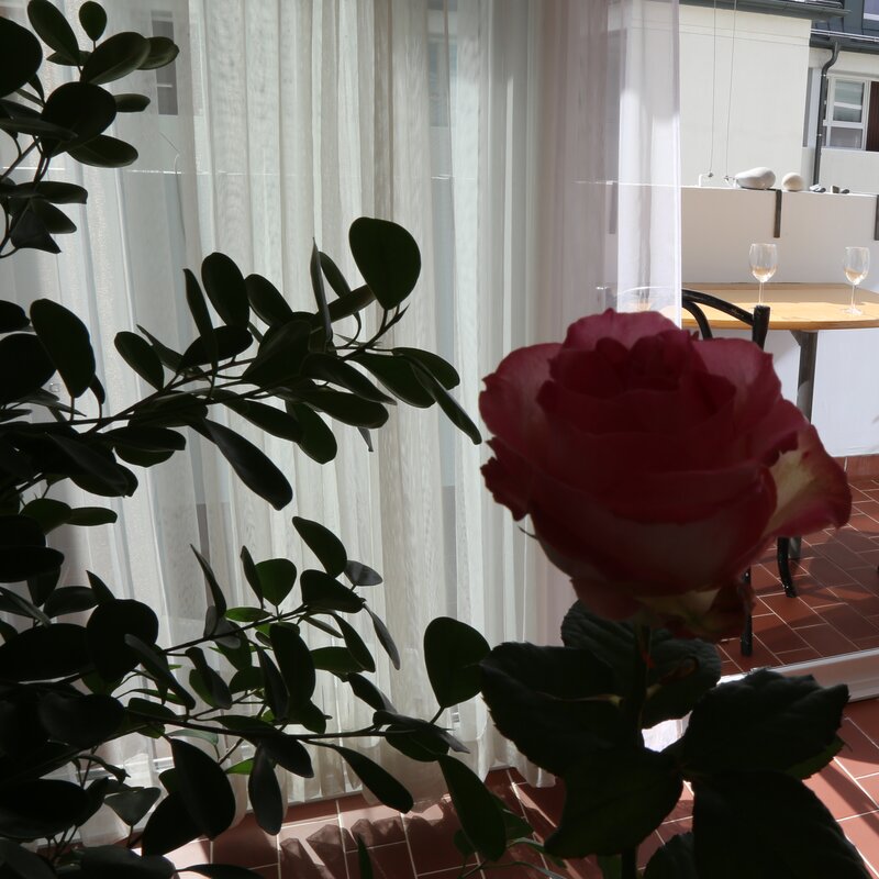 Zwei Original Thonets laden zum Frühstück auf dem Balkon | © Martin Sigmund