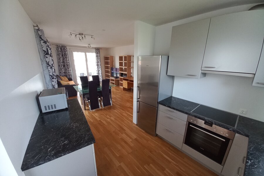 Küche, Esszimmer und Wohnzimmer in einem