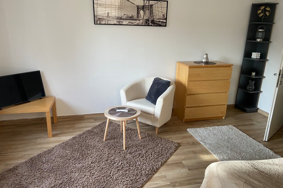 Bright living room with TV & armchair – 3-room apartment, short-term rental & temporary housing for 1 to 6 months in Linz
