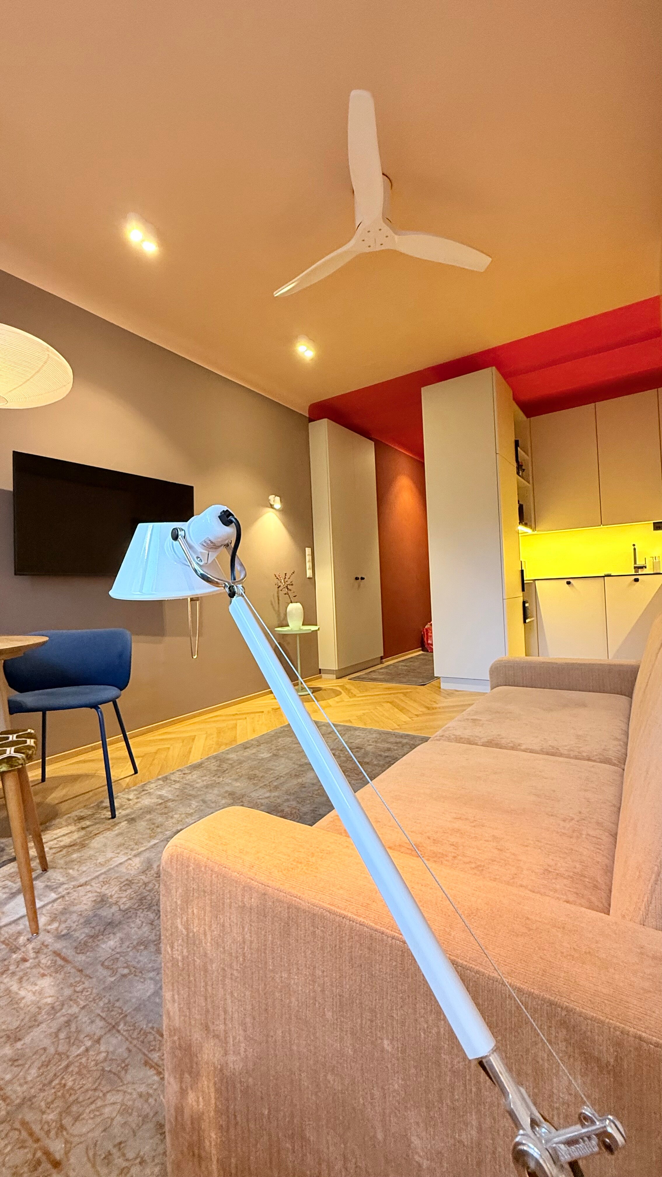 Living Room/Bed Room