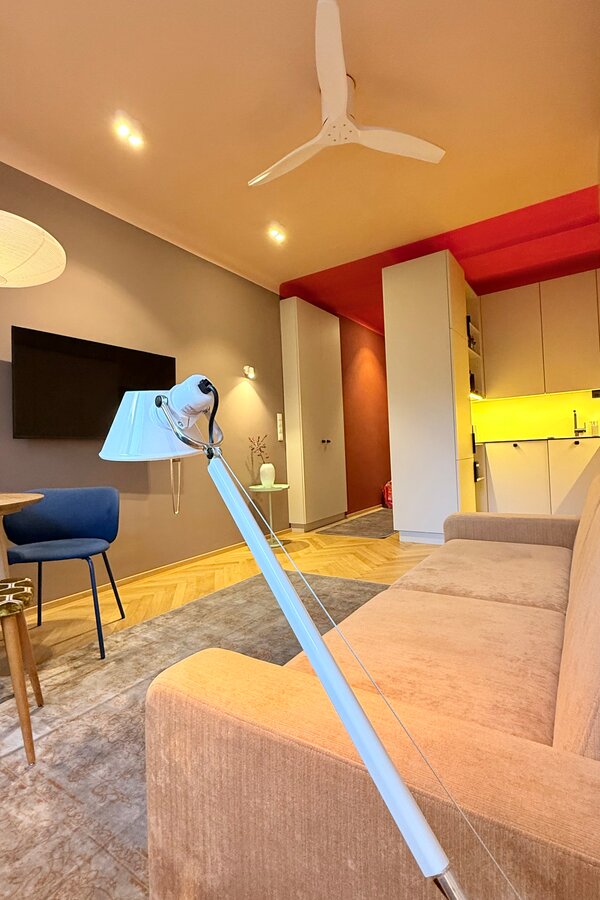 Living Room/Bed Room