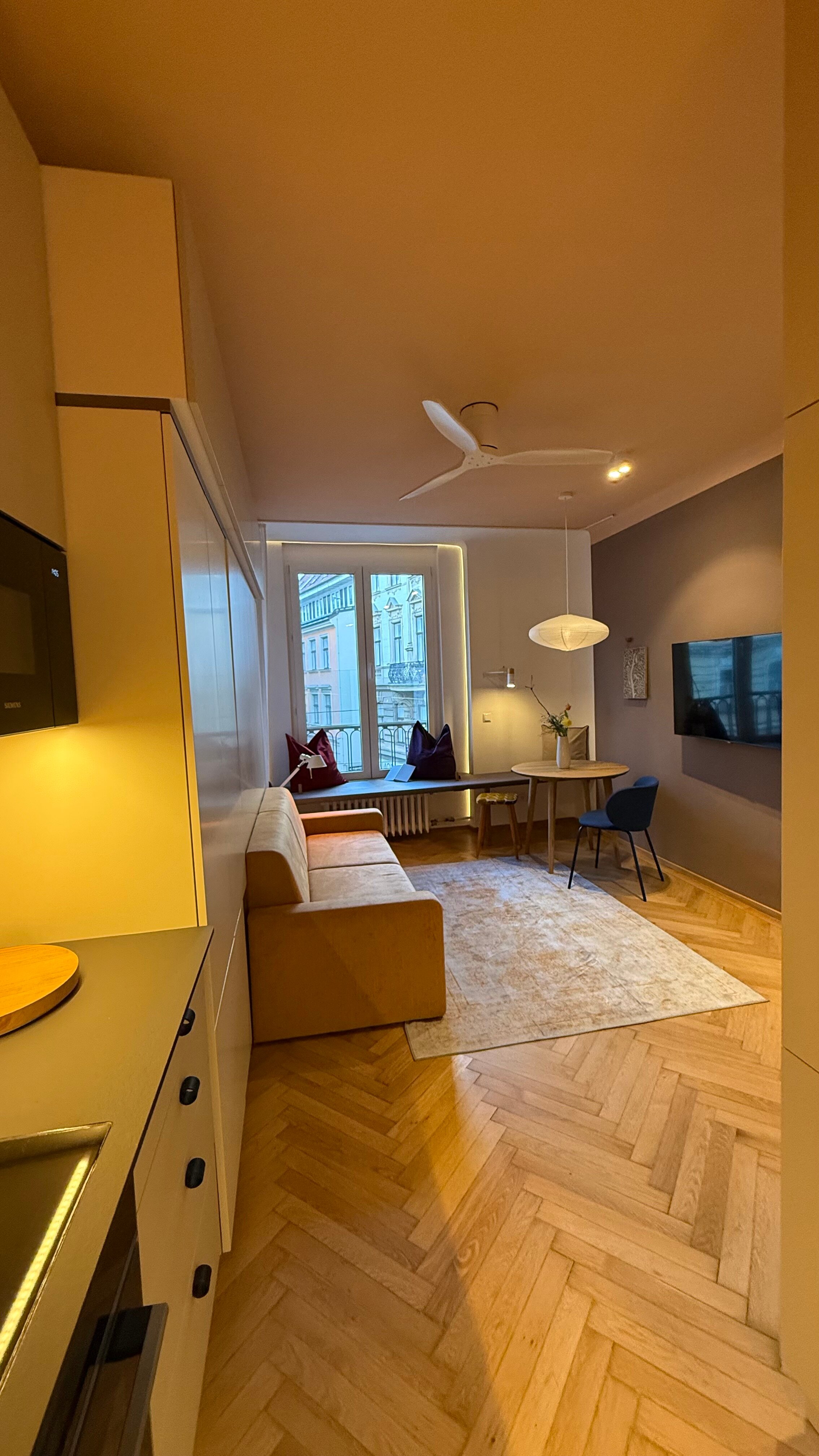 Living Room/Bed Room