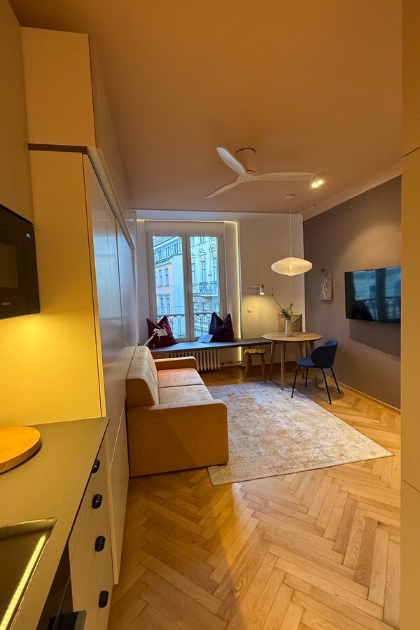 Living Room/Bed Room