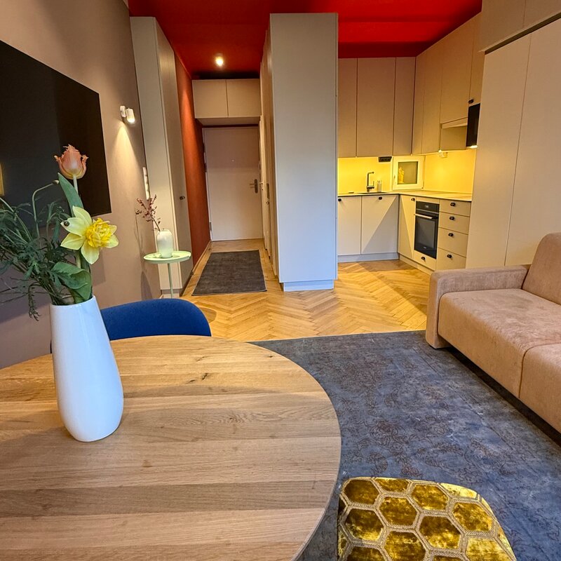 Living Room/Bed Room With Kitchen