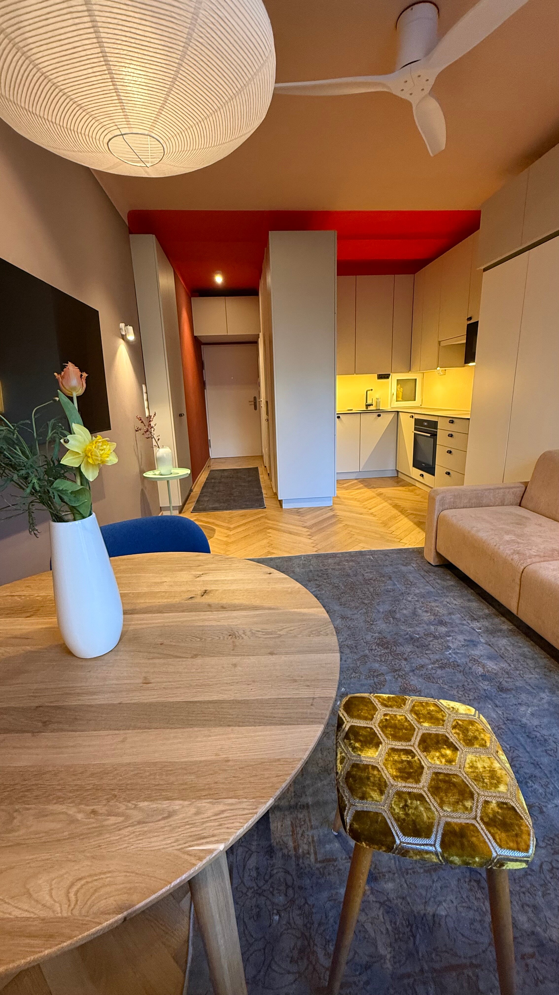 Living Room/Bed Room With Kitchen