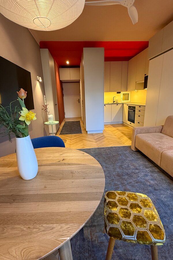 Living Room/Bed Room With Kitchen