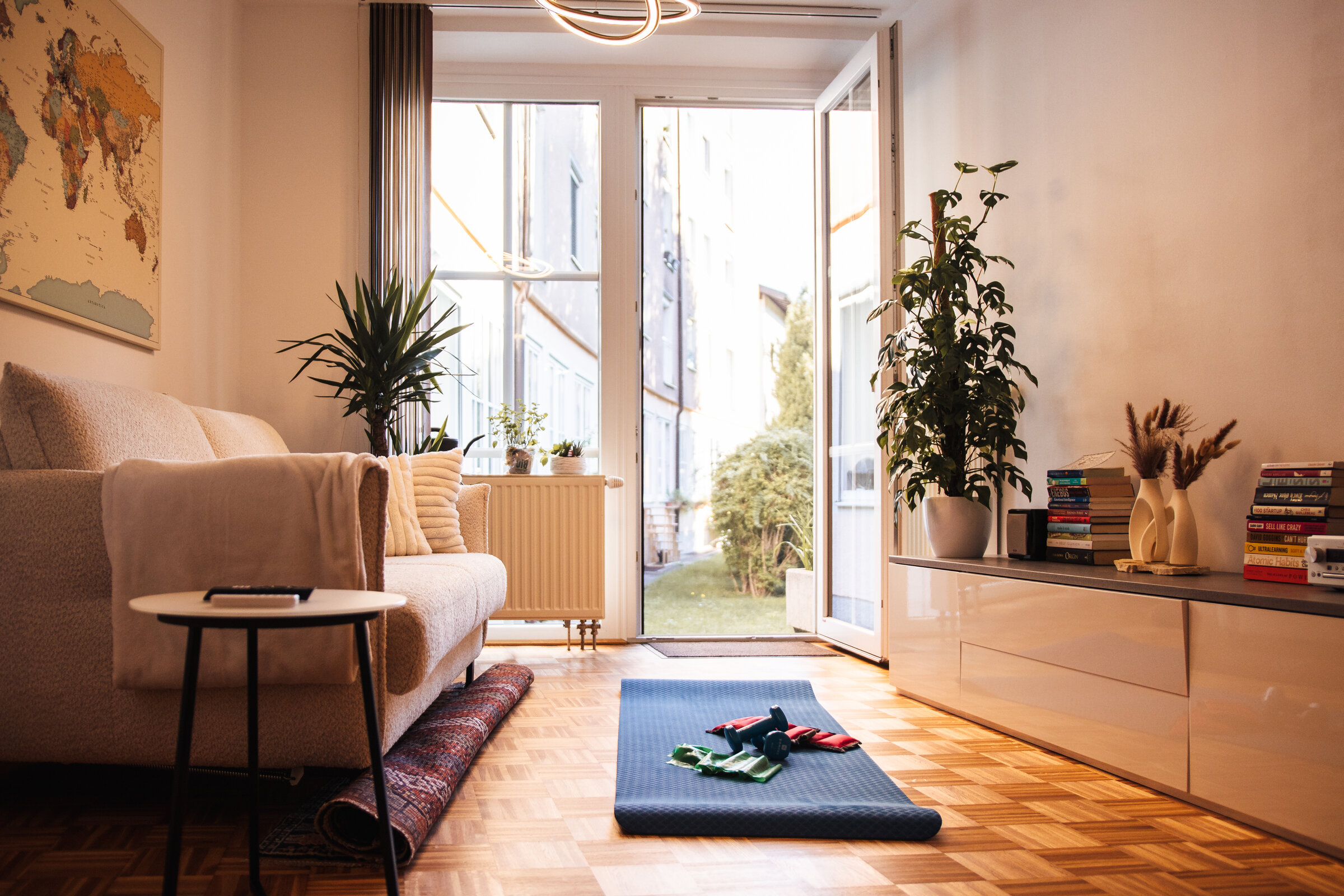 Living room with small gym equipment