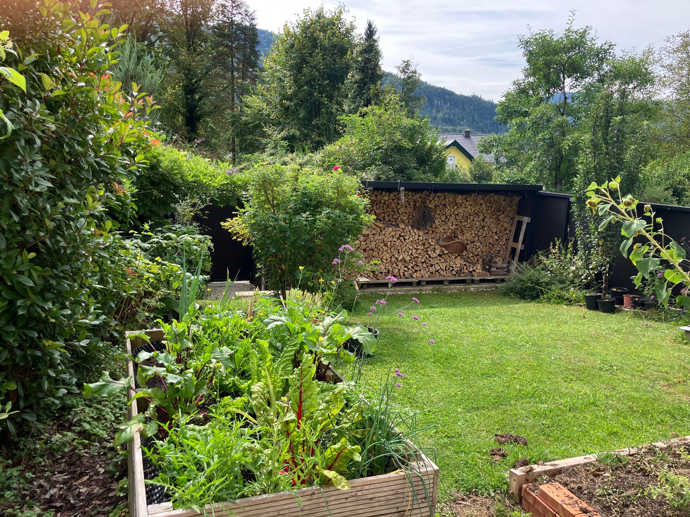 Garten