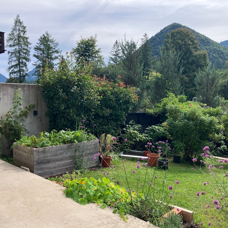 Gartenblick