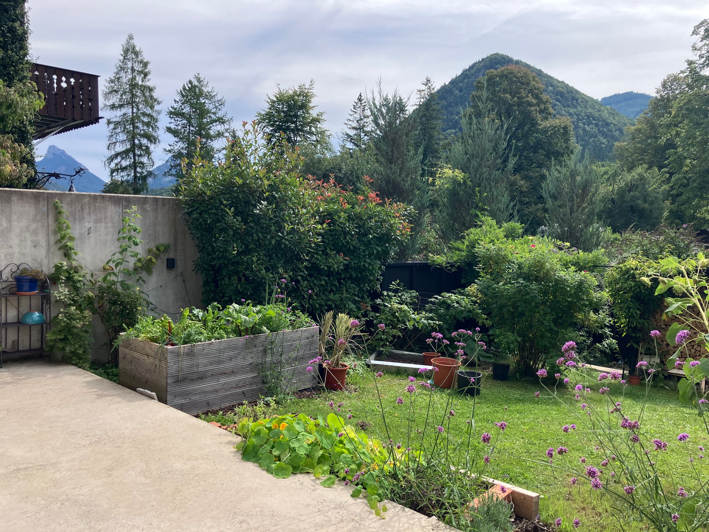 View from the garden