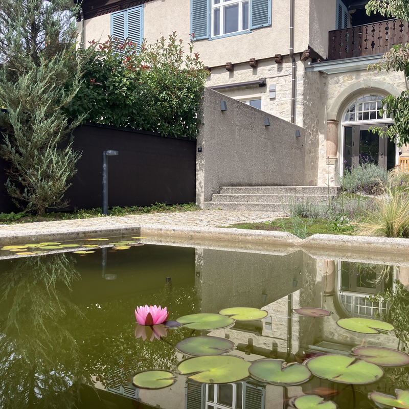 Back entrance and the garden fence