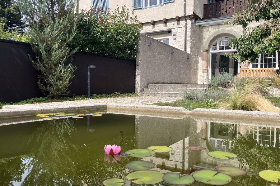 Back entrance and the garden fence