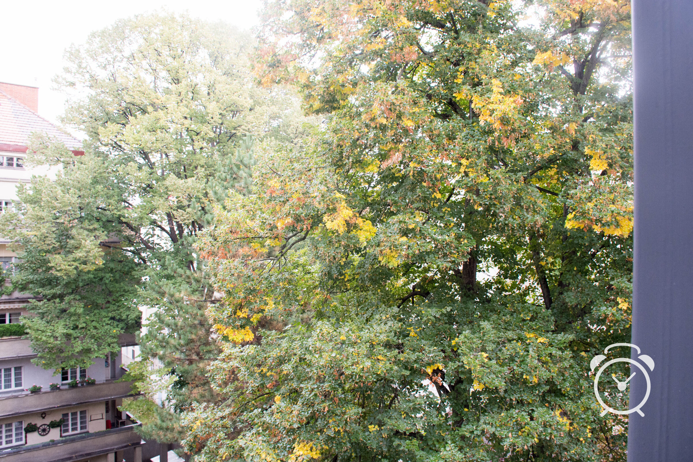 Grüner Innenhof | © Kurzzeitmiete