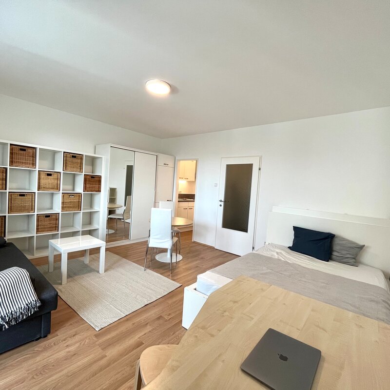 Living- and Bedroom