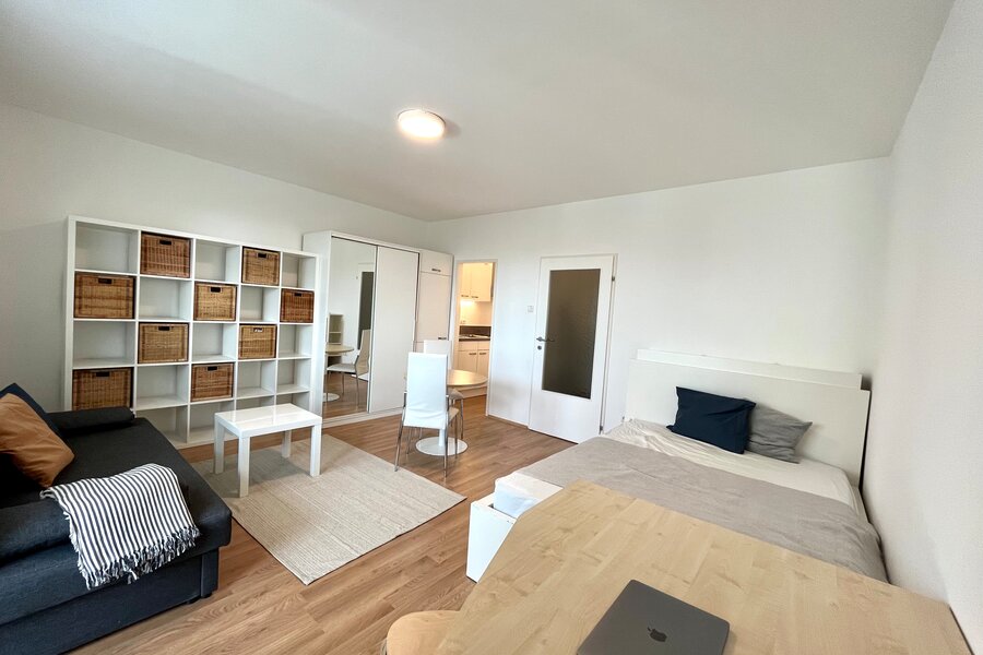 Living- and Bedroom
