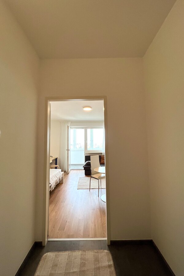 Entrance area / hall way