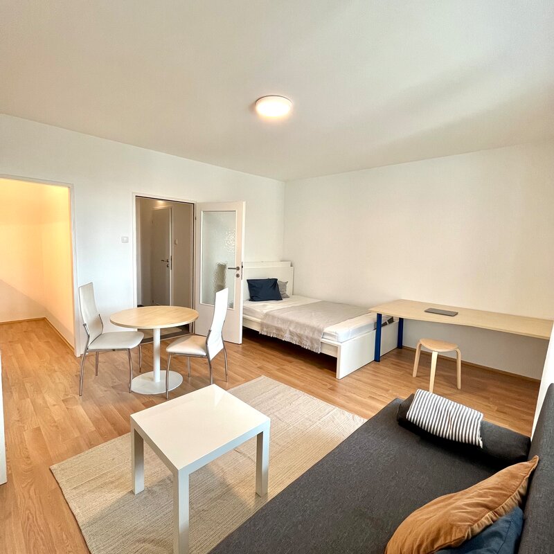 Living- and Bedroom