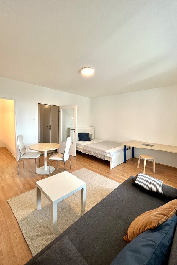 Living- and Bedroom