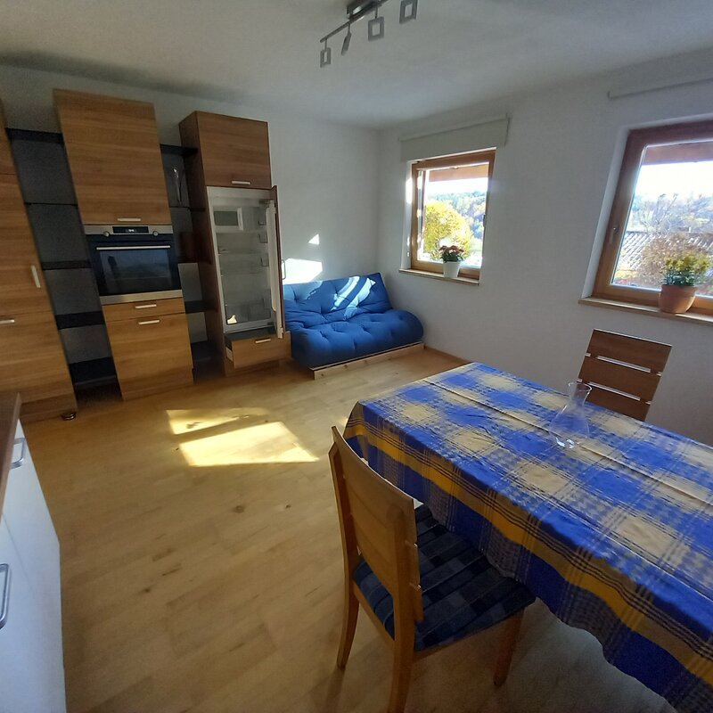 Wohnküche mit Schlafsofa 1