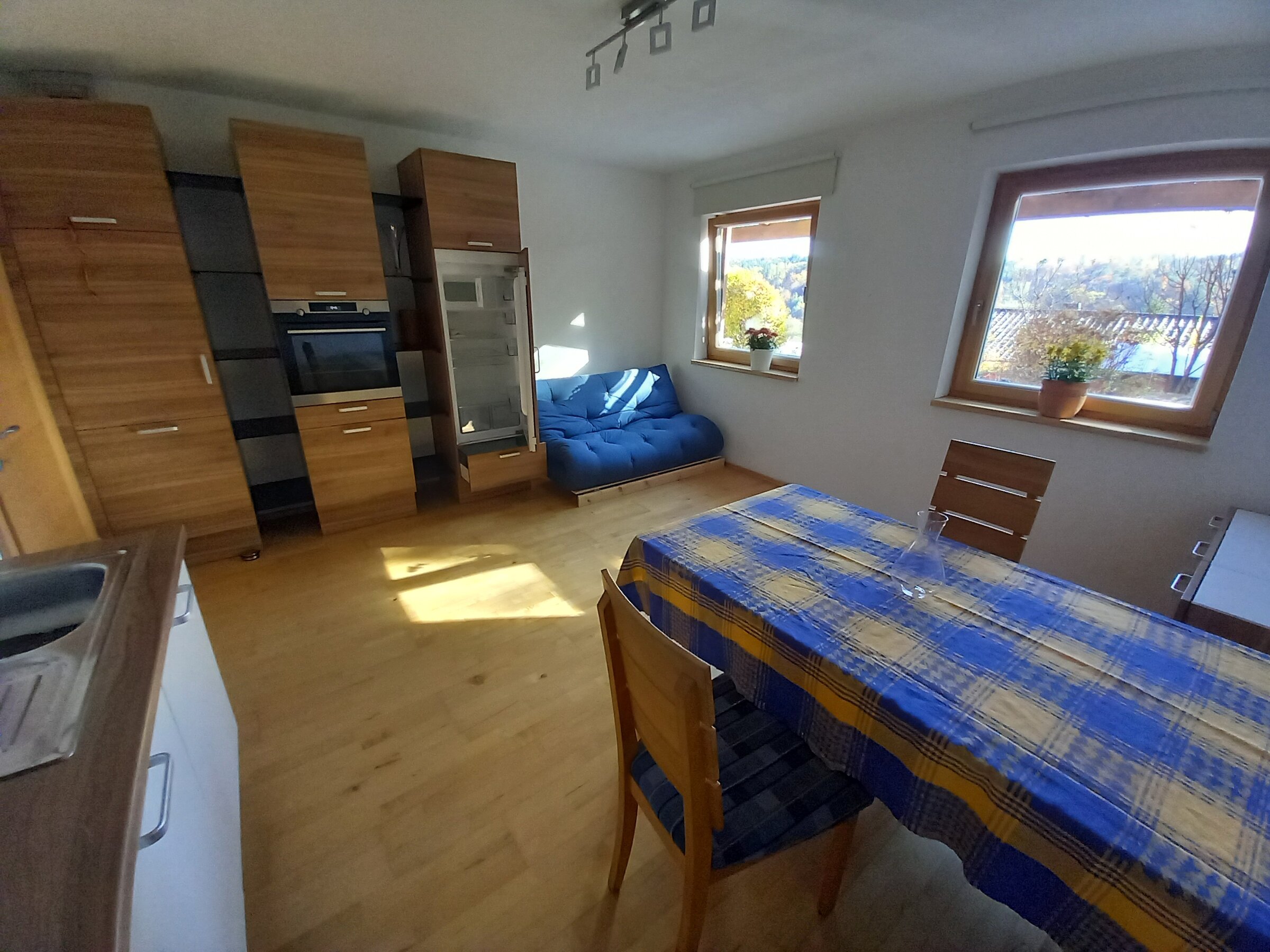 Wohnküche mit Schlafsofa 1