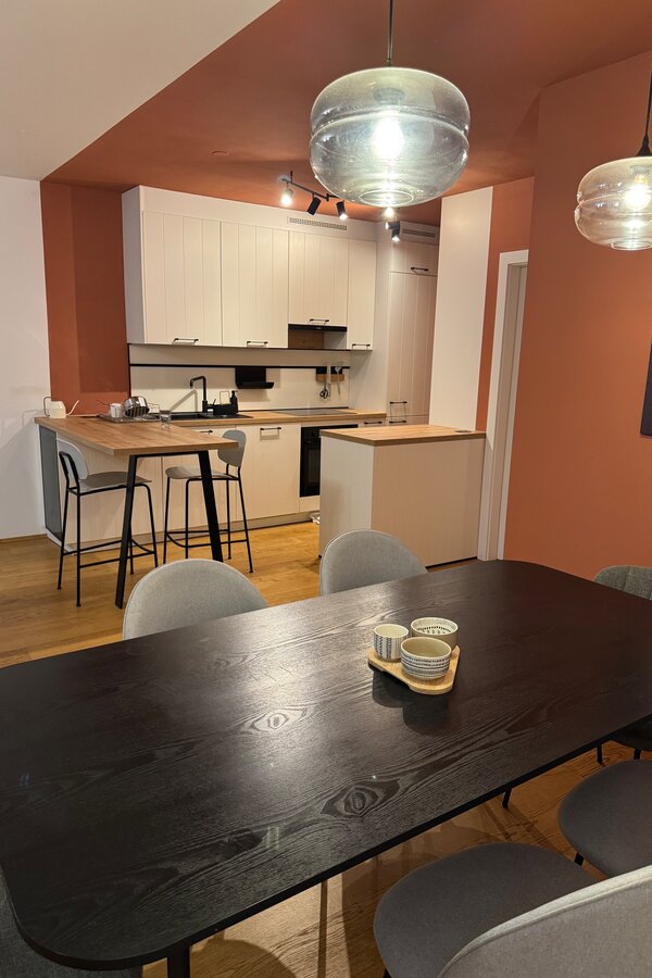 Dining Table and Kitchen